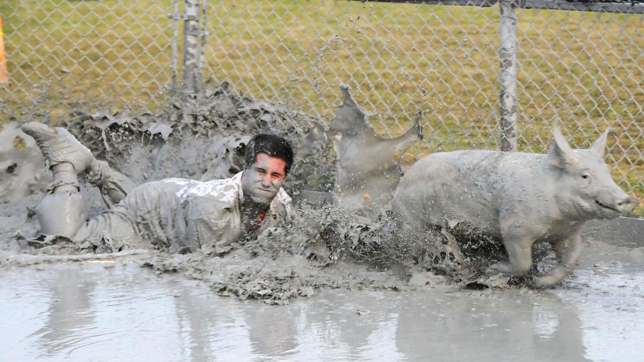 La SPCA monte aux barricades