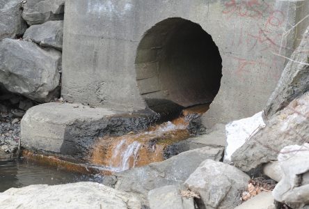 Eaux d’égouts non traitées : nombreux débordements dans la rivière Saint-François