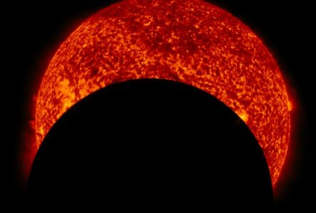 Invitation à regarder l’éclipse de façon sécuritaire