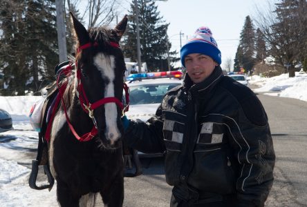 À cheval au centre-ville : «C’est comme ma voiture»