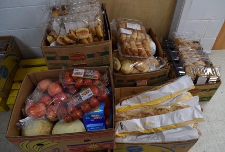 Aide alimentaire d’urgence : la Tablée populaire reçoit 20 000 $