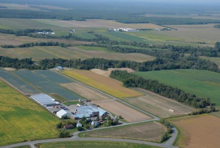 Après les pluies, les cultivateurs prêts à entrer dans leurs champs