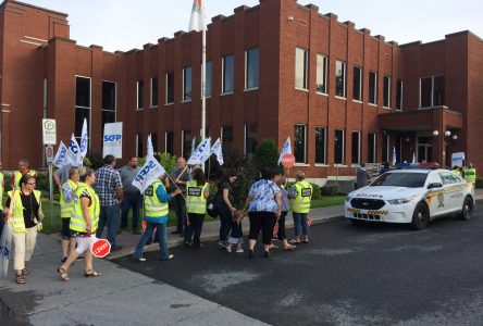 Les brigadiers scolaires s’invitent au conseil municipal