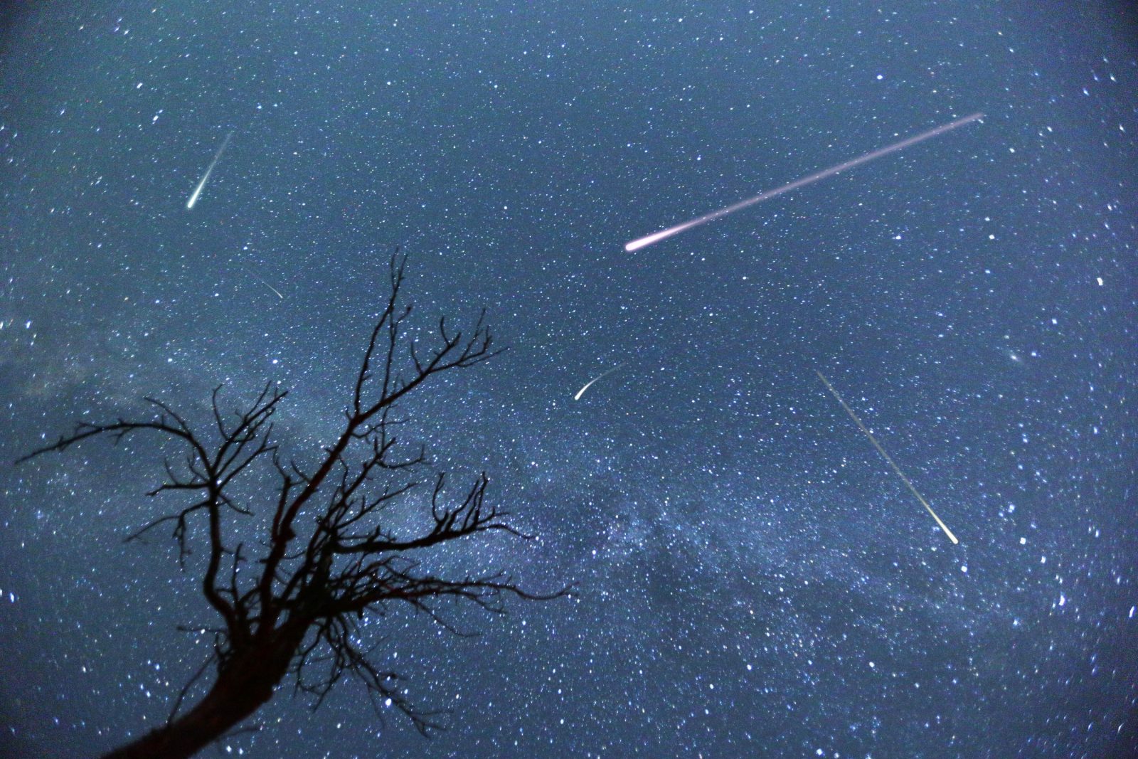 Le ciel d’août en mettra plein les yeux