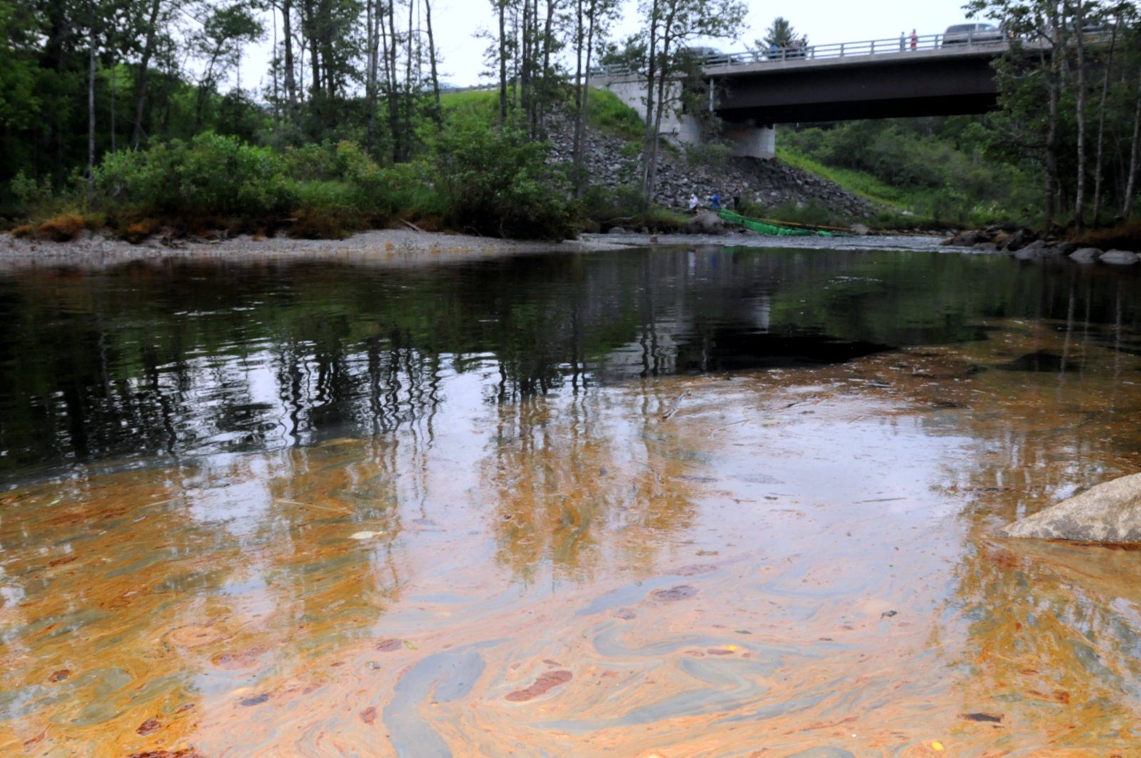 Lac-Mégantic : le point sur les conséquences environnementales