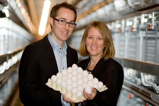 100 000 poules en route vers Saint-Joachim