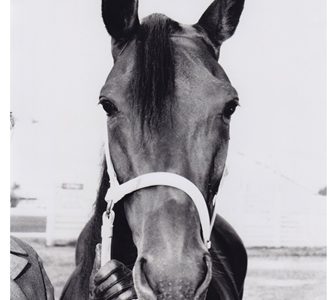 Le Temple de la renommée canadien des chevaux de course honore  Woodland Drummond