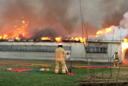 Environ 650 porcs périssent dans un incendie à Saint-Lucien