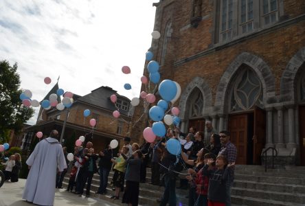 À la mémoire des petits anges partis trop tôt