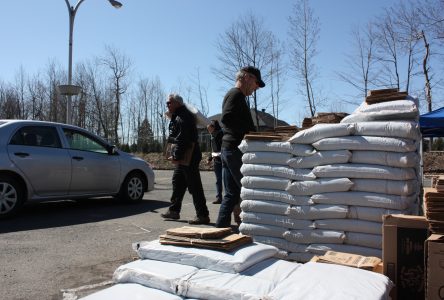 Un millier de personnes à la distribution de compost