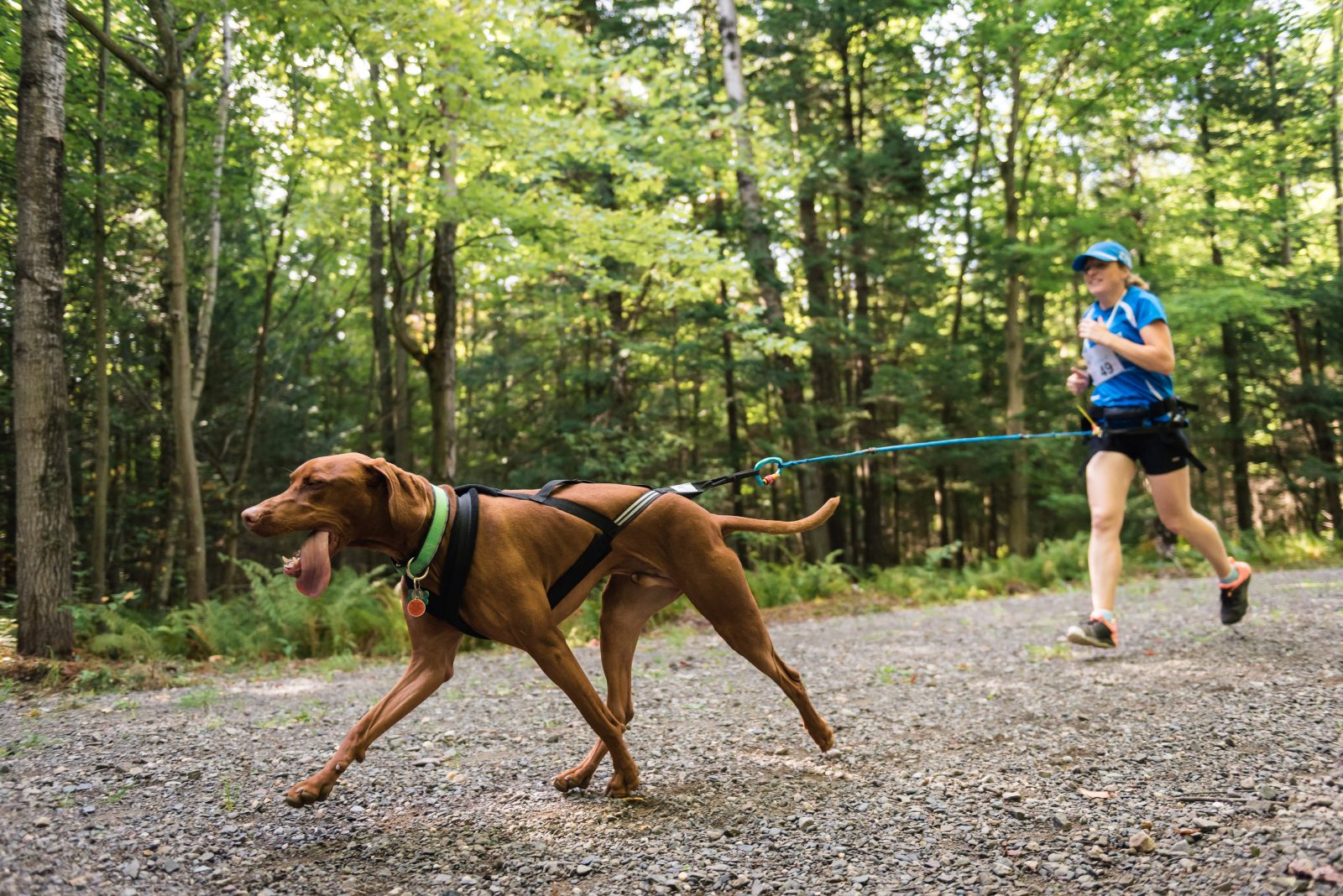 Maîtres et chiens invités à participer à la course de l’Équinoxe