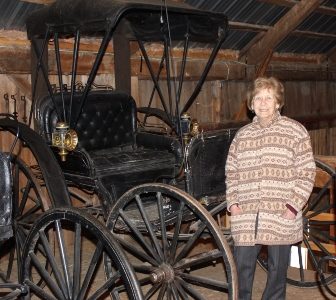 Un encan pour les amoureux de voitures à chevaux