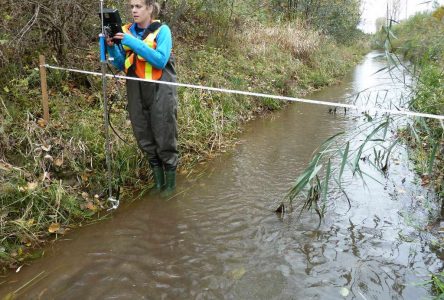 Une vraie soupe aux coliformes fécaux