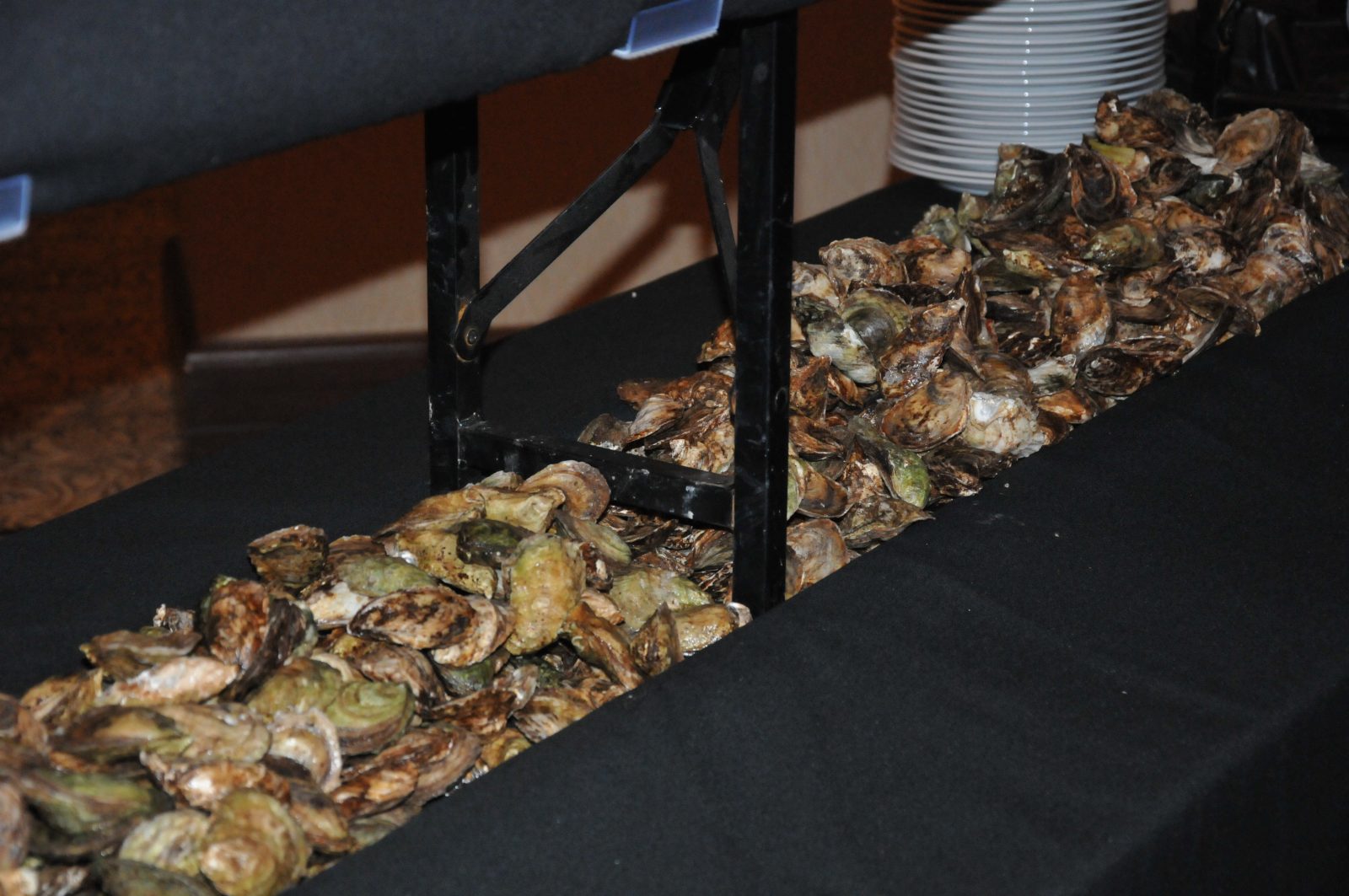 Un souper-bénéfice «huîtres et côte de boeuf» est organisé
