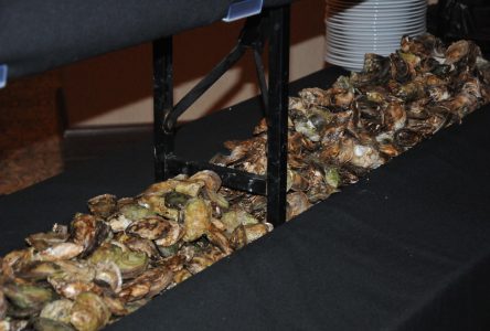 Un souper-bénéfice «huîtres et côte de boeuf» est organisé