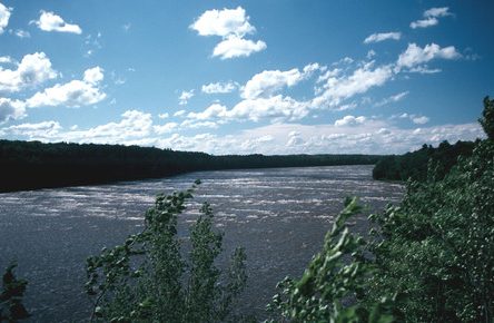 Le piètre état de la rivière noire contamine la Saint-François