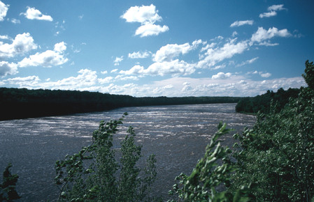 Le piètre état de la rivière noire contamine la Saint-François