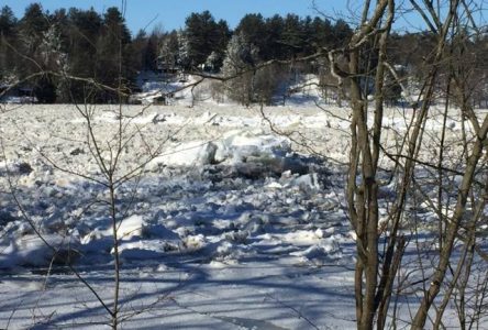 Crue printanière : la Ville garde un oeil sur la rivière