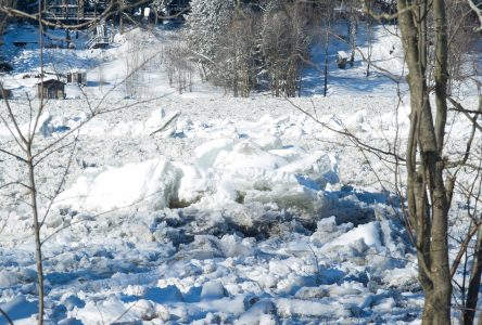 Rivière Saint-François : retour à la normale