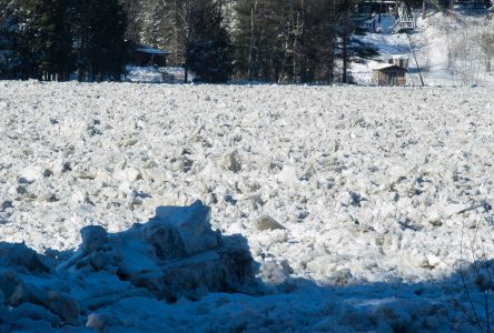 Le niveau de la rivière Saint-François continue de baisser