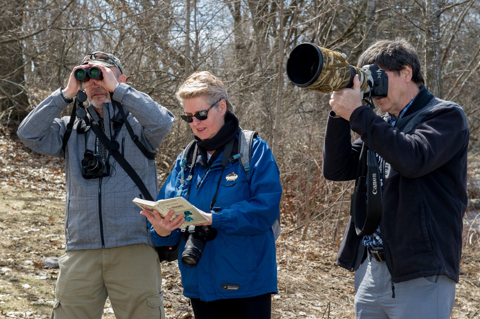 À la découverte des oiseaux depuis 35 ans