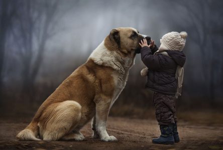 La photographe russe Elena Shumilova s’arrêtera au Village québécois d’antan