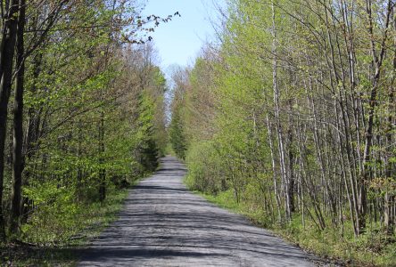 Un tronçon de la route verte qui ne fait pas l’unanimité