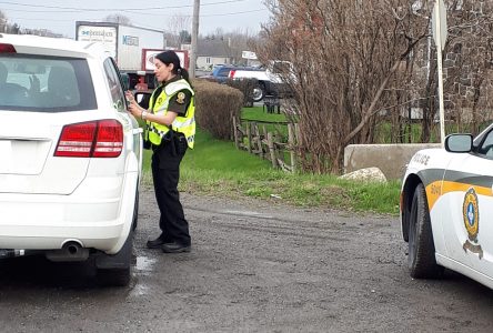 Des actions concrètes contre les comportements contributifs aux collisions