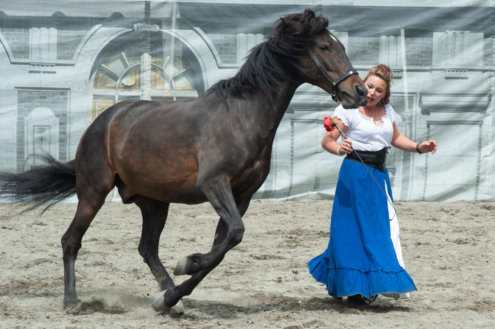 Cascades, feu et prouesses équestres à l’Amphithéâtre Saint-François