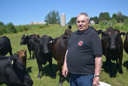 «Tu ne peux pas goûter à une meilleure viande que ça»