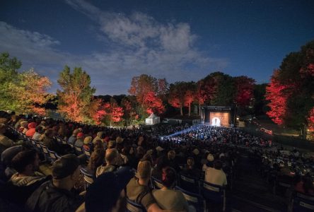 Festival de la blague : un artiste mystère dévoilé