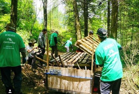 PurNat demande de l’aide pour identifier les dépotoirs illégaux