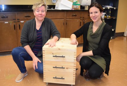 Deux collègues de travail créent un vermicomposteur unique