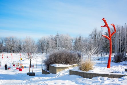 La patinoire du parc Woodyatt sera remplacée par des sentiers de marche