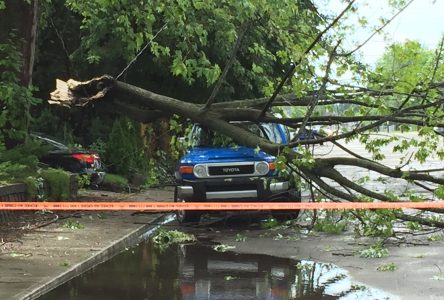 Orage violent : le viaduc sous le boulevard St-Joseph accessible (mise à jour)