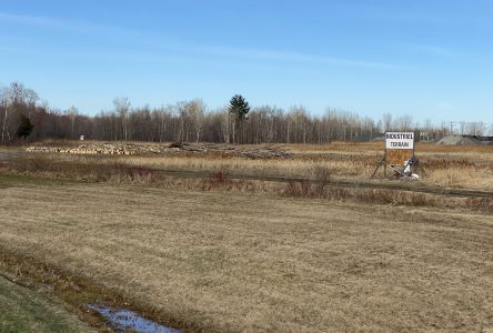 Le parc industriel Saint-Charles se dessine