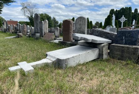 Plusieurs pierres tombales vandalisées au cimetière Saint-Frédéric
