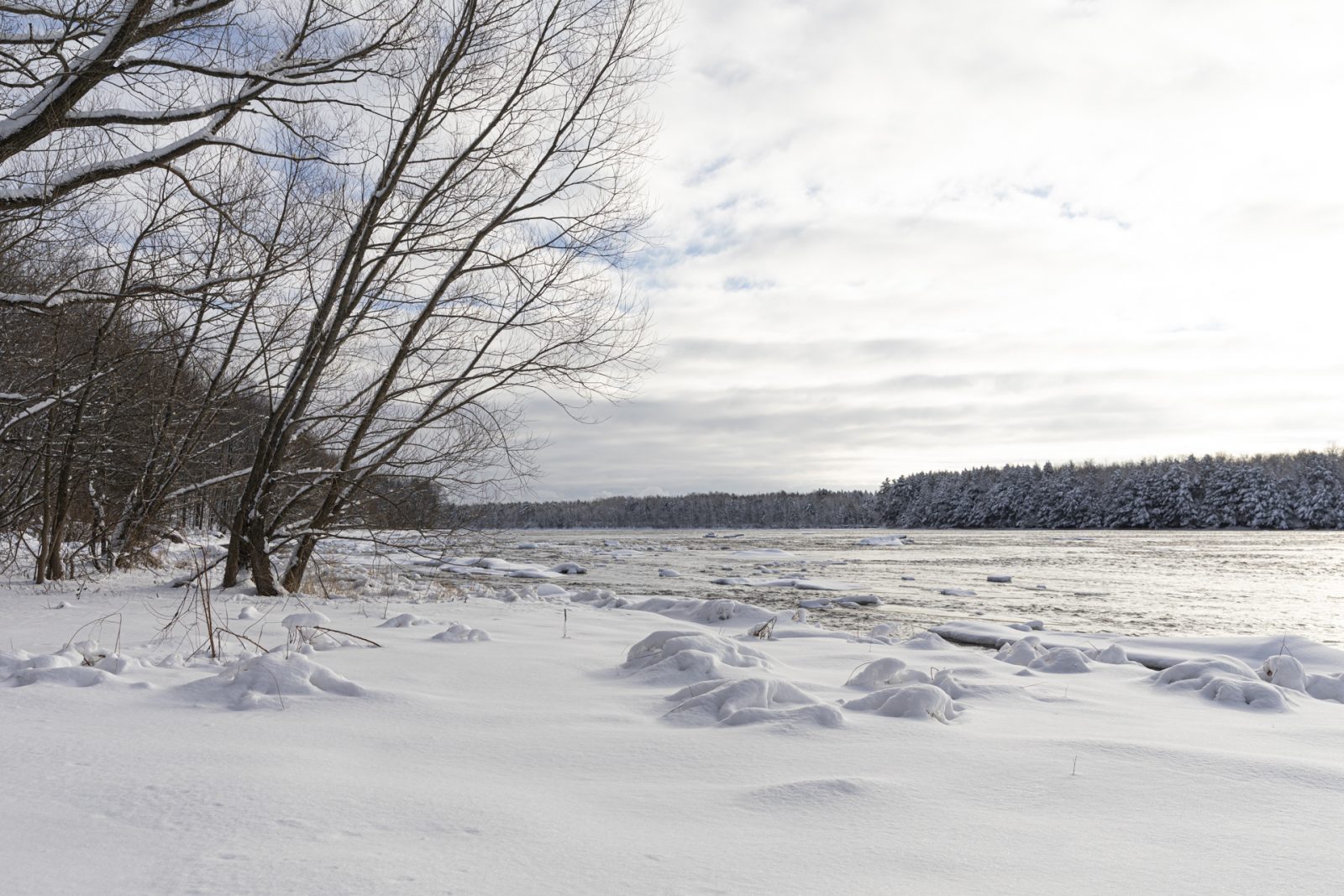 Rivière Saint-François : levée de la phase de « Préalerte »