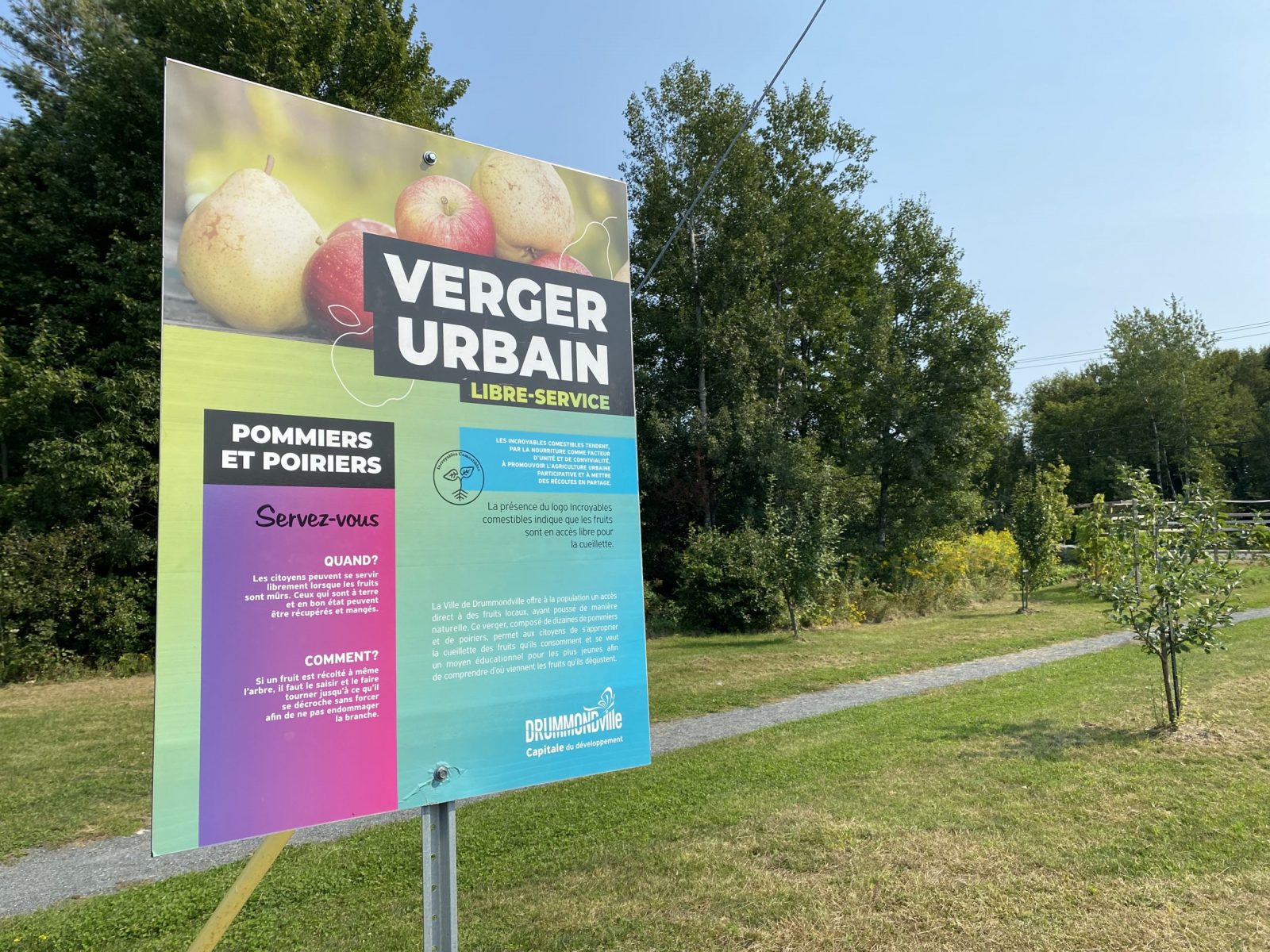 Drummondville a maintenant trois vergers urbains