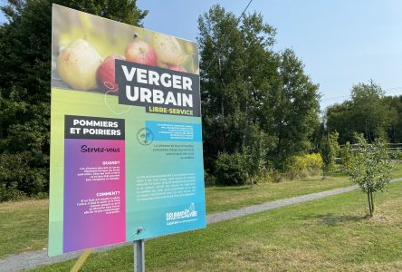 Drummondville a maintenant trois vergers urbains