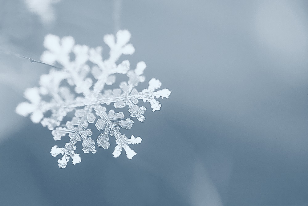 Bénévoles recherchés pour la fête des flocons