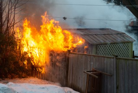 Un poulailler urbain détruit par les flammes (photos et vidéo)