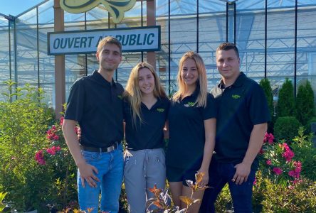 Quatre jeunes entrepreneurs reprennent le Centre horticole Foliflor  