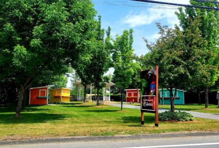 Le P’tit marché de L’Avenir accueillera ses premiers visiteurs le 8 juin