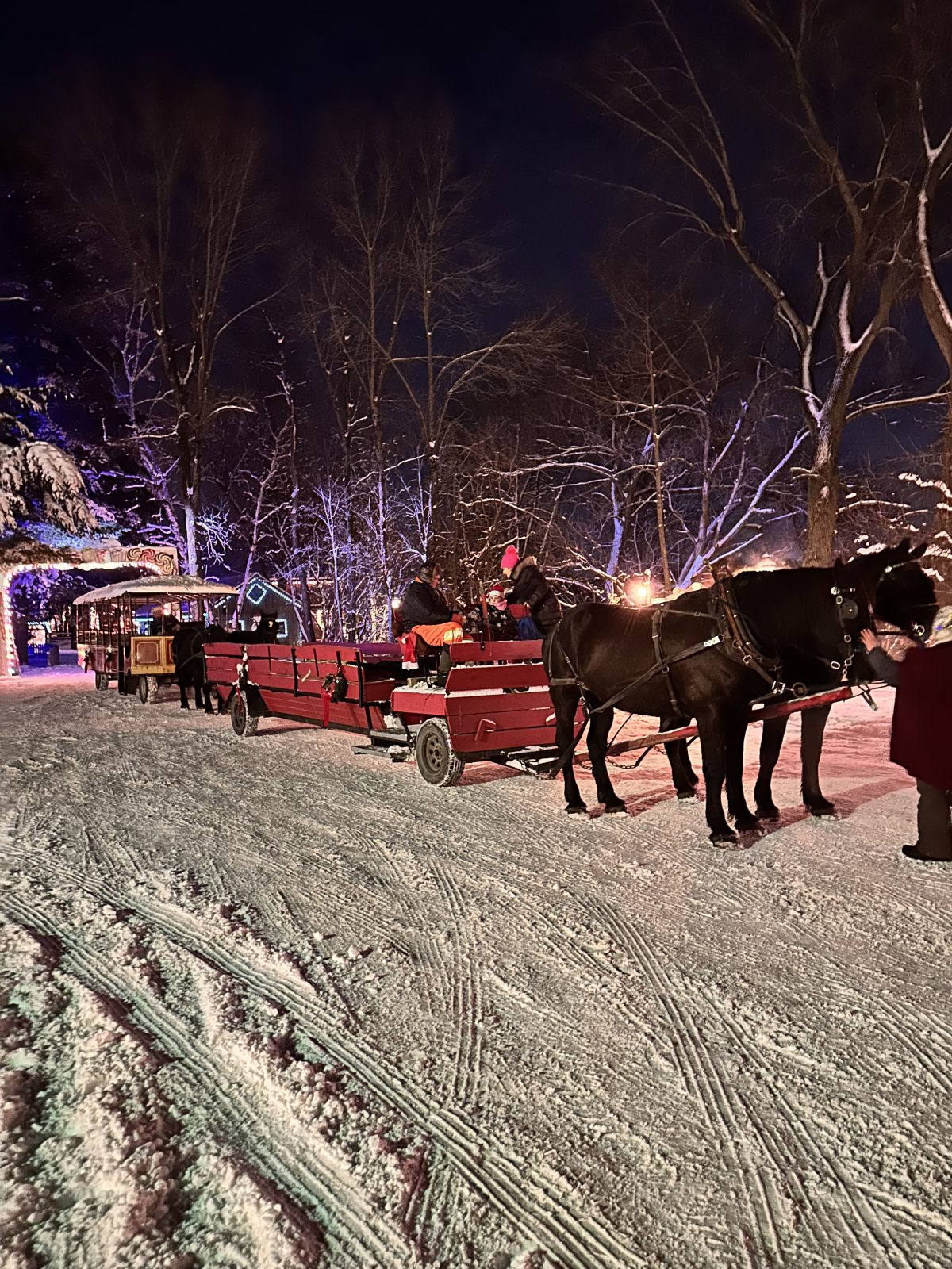 Plusieurs nouveautés au Village illuminé