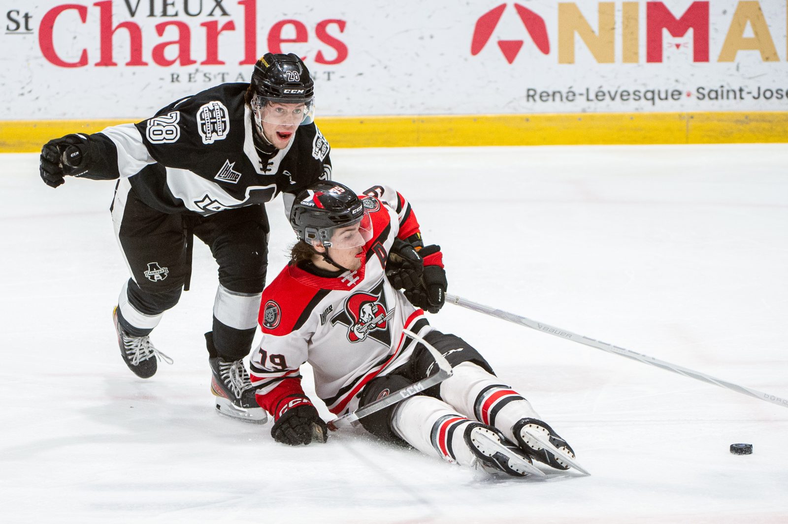 Fort contingent drummondvillois dans la LHJMQ