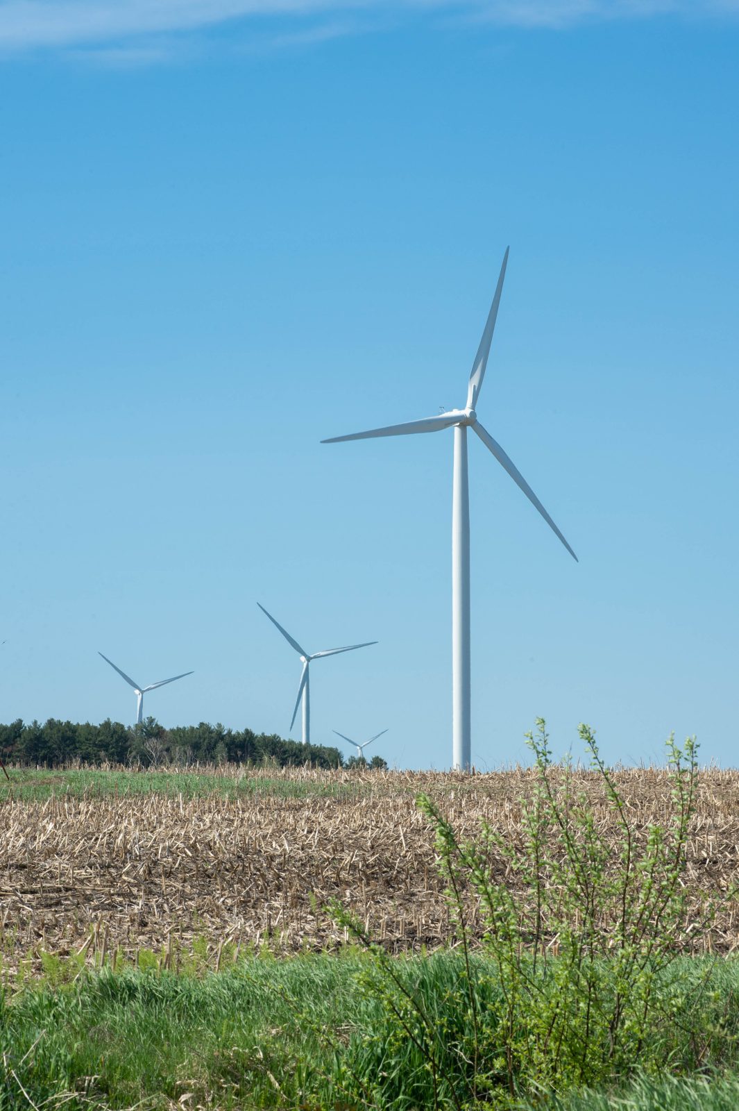 Hydro-Québec se lance dans l’énergie éolienne