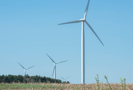 Hydro-Québec se lance dans l’énergie éolienne