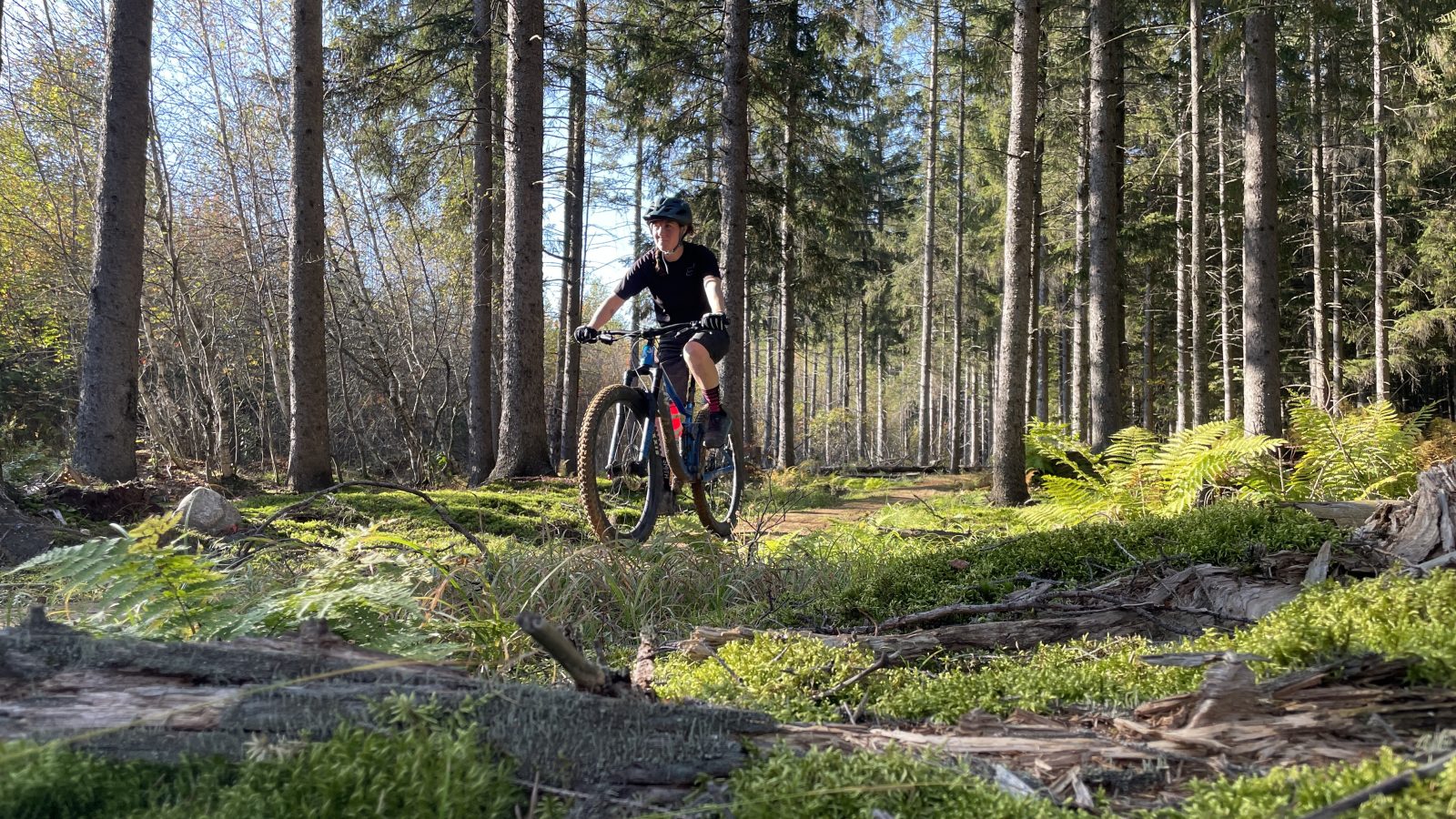 Vélo de montagne : la saison est lancée dans le parc régional de la Forêt Drummond