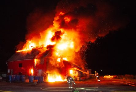 Un petit abattoir détruit par les flammes (photos et vidéo)